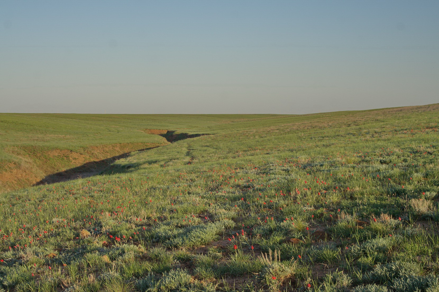 Эльтон, image of landscape/habitat.