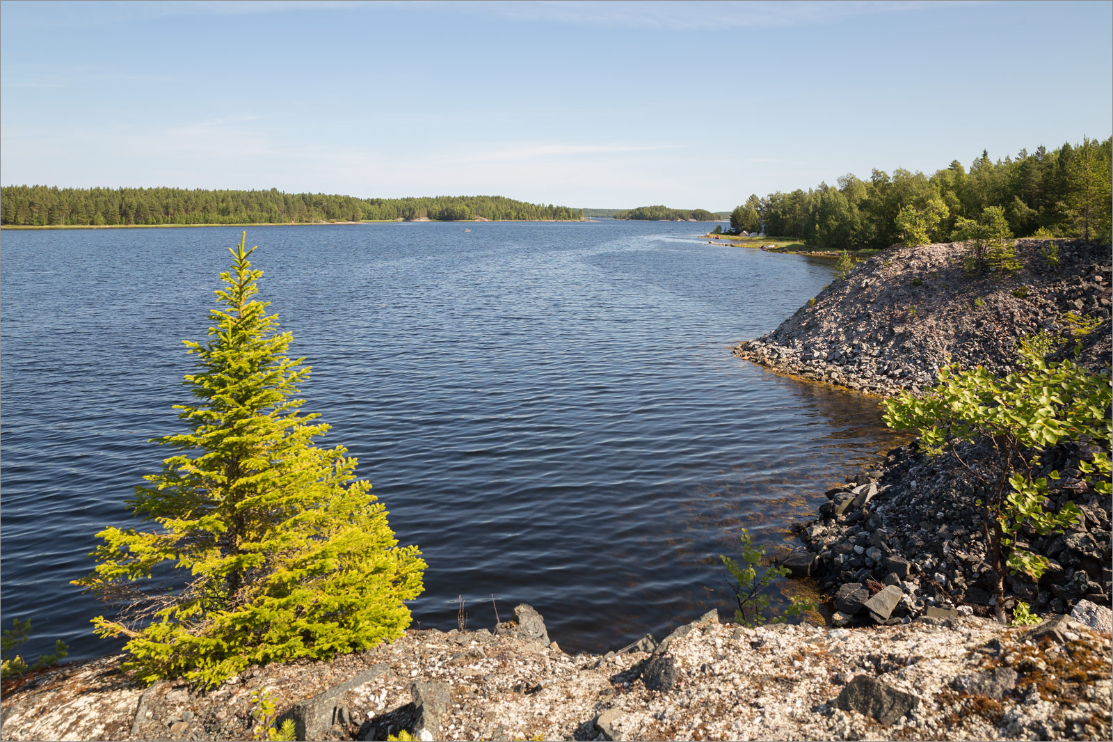 Чкаловский, image of landscape/habitat.