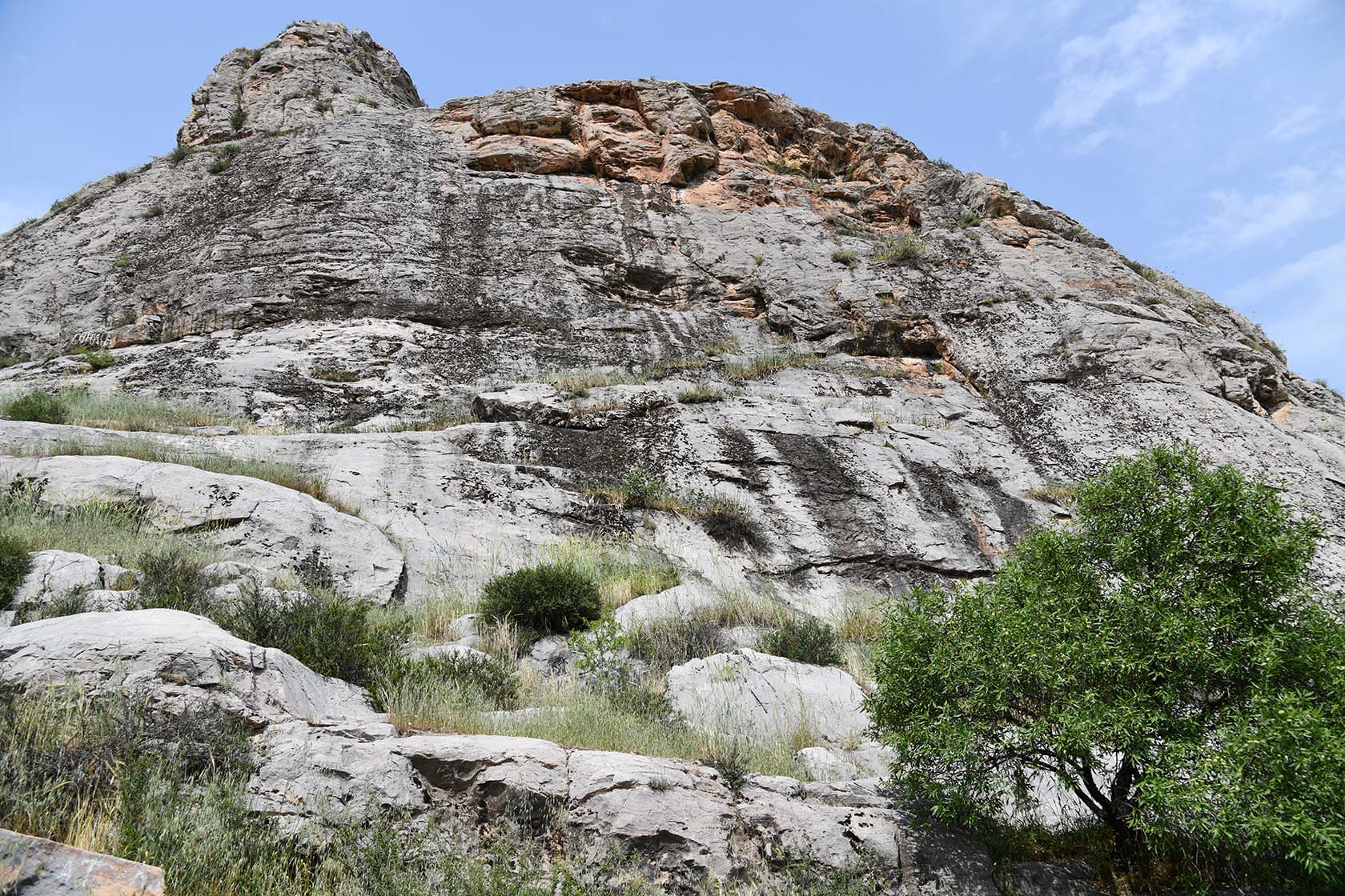 Сулейман-Тоо, image of landscape/habitat.