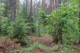 Image of landscape