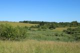 Image of landscape