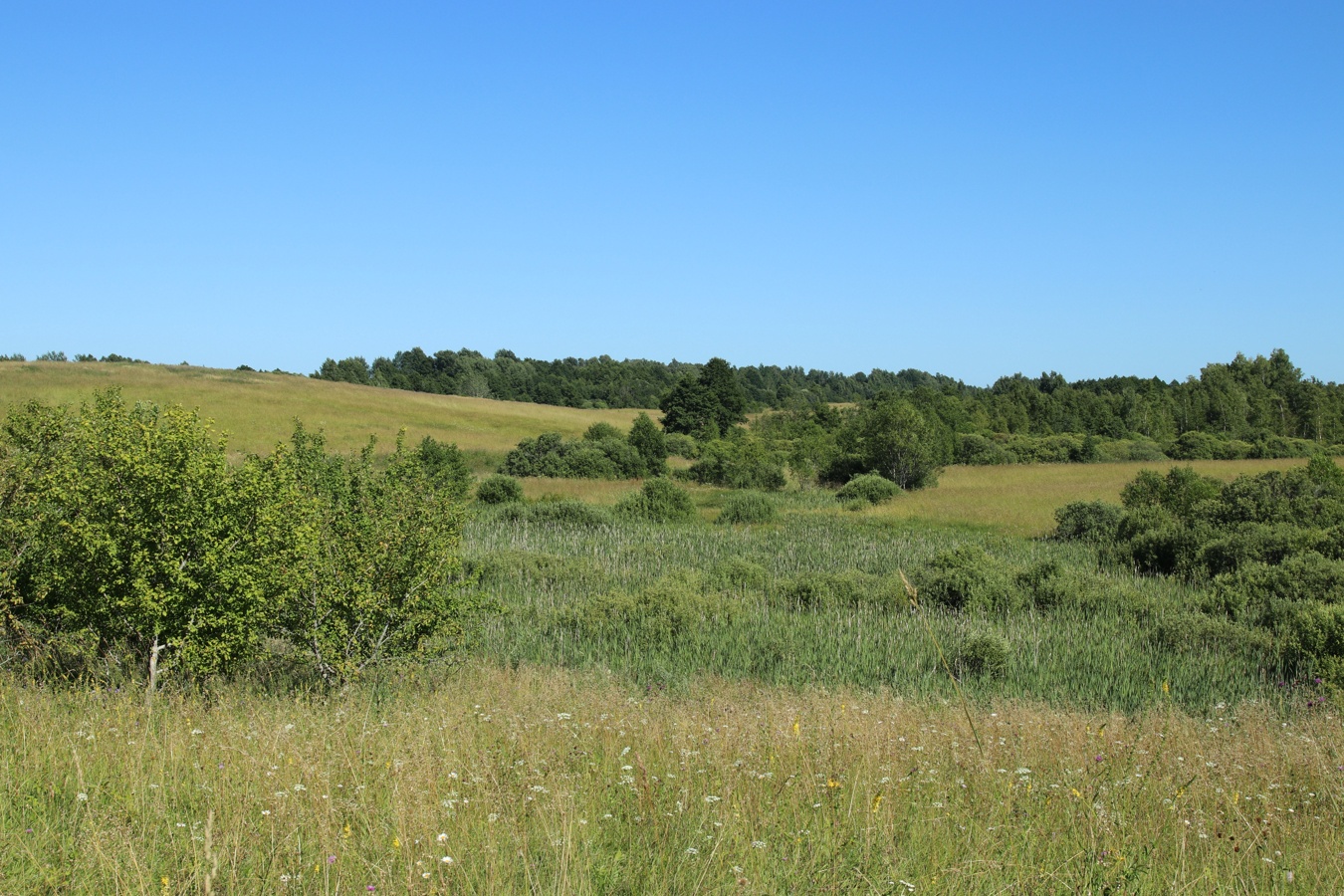Местечко и окрестности, image of landscape/habitat.