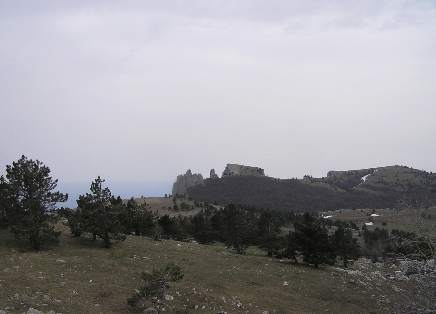 Ай-Петринская яйла, image of landscape/habitat.