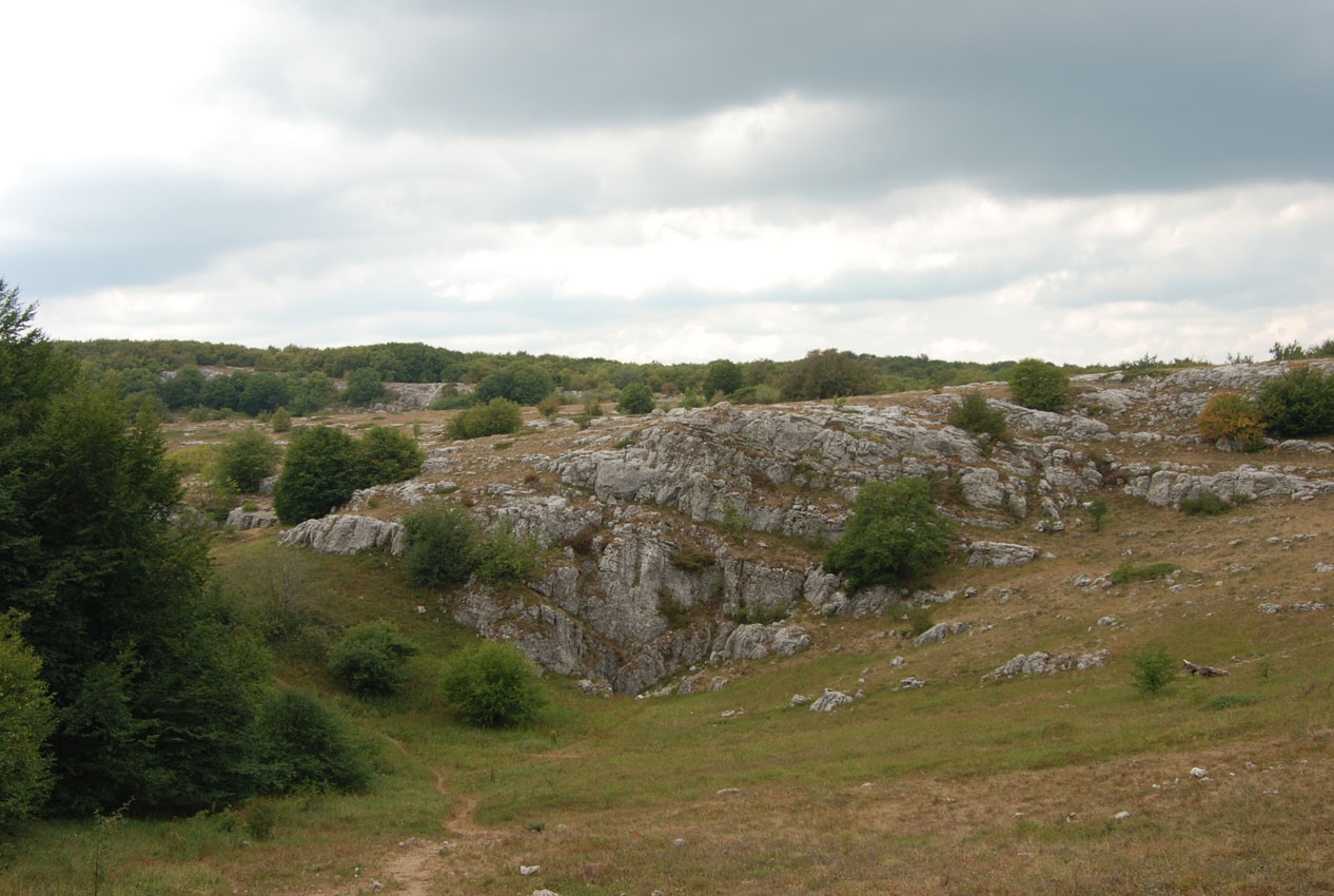 Чатырдаг (нижнее плато), image of landscape/habitat.