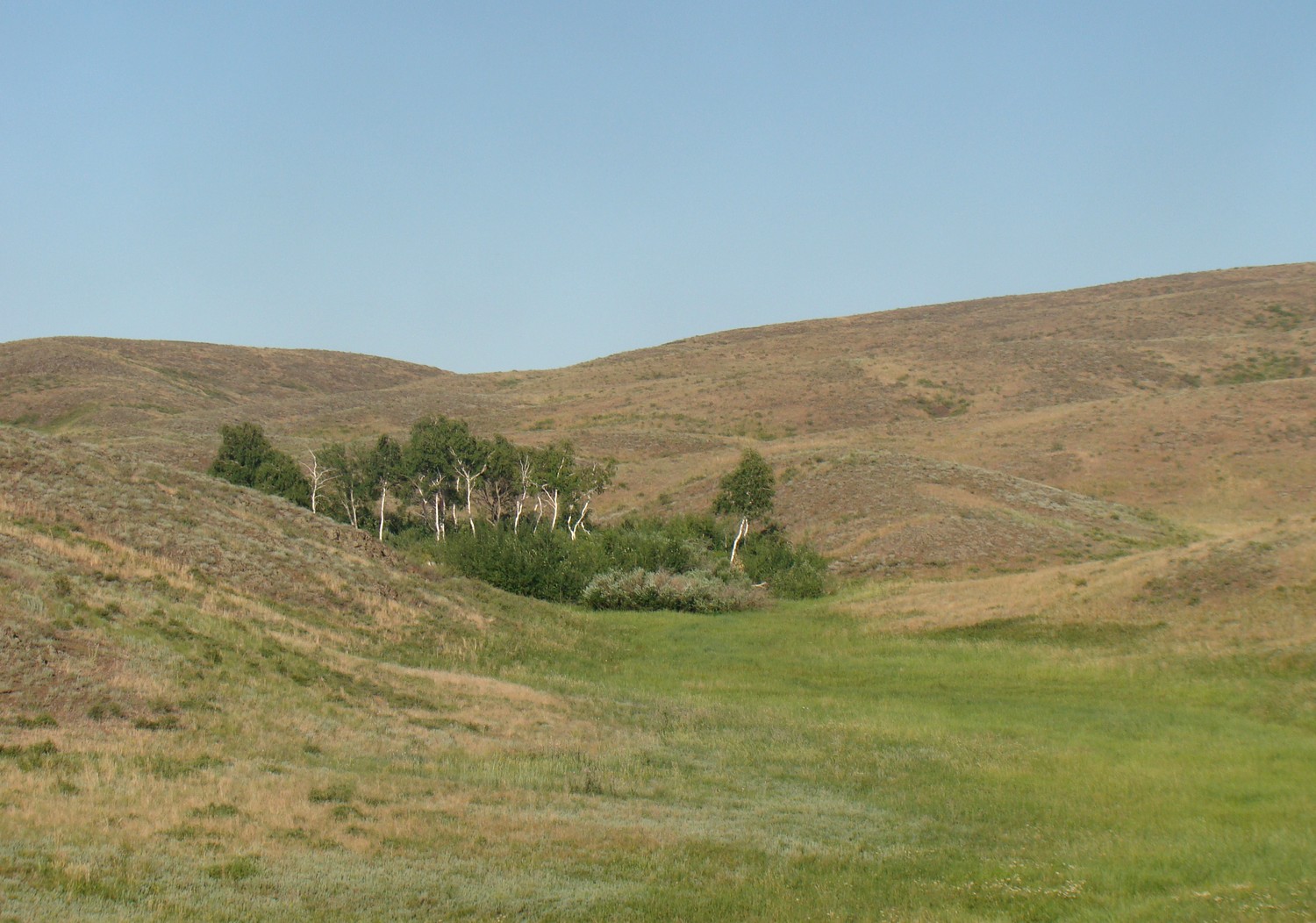 Мугоджары, изображение ландшафта.