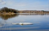 Водопад Плакун и его окрестности, изображение ландшафта.