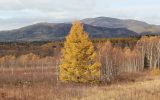 Южно-Сахалинск, image of landscape/habitat.