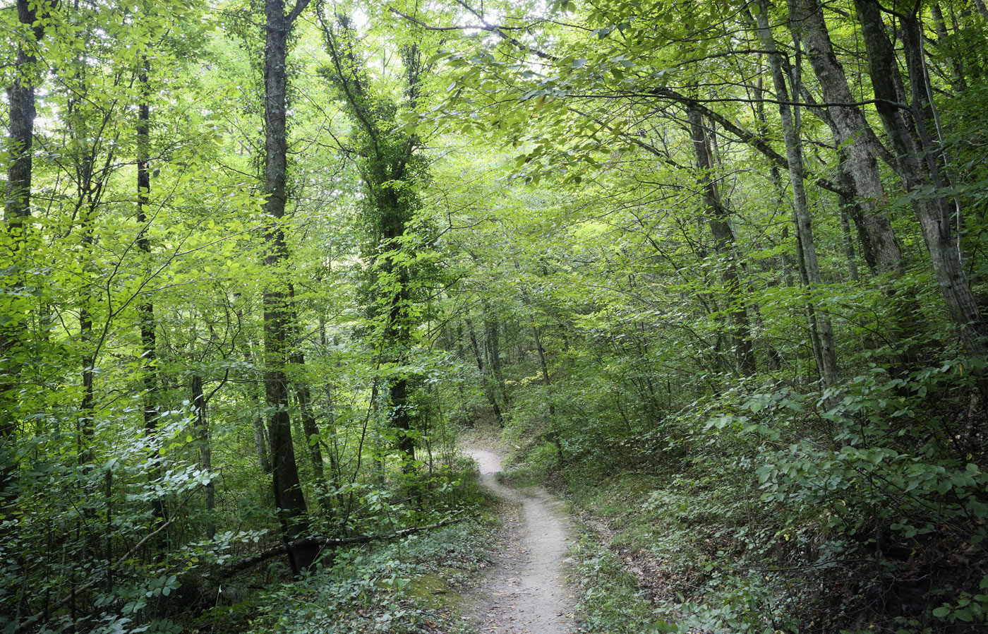 Большой каньон Крыма, image of landscape/habitat.