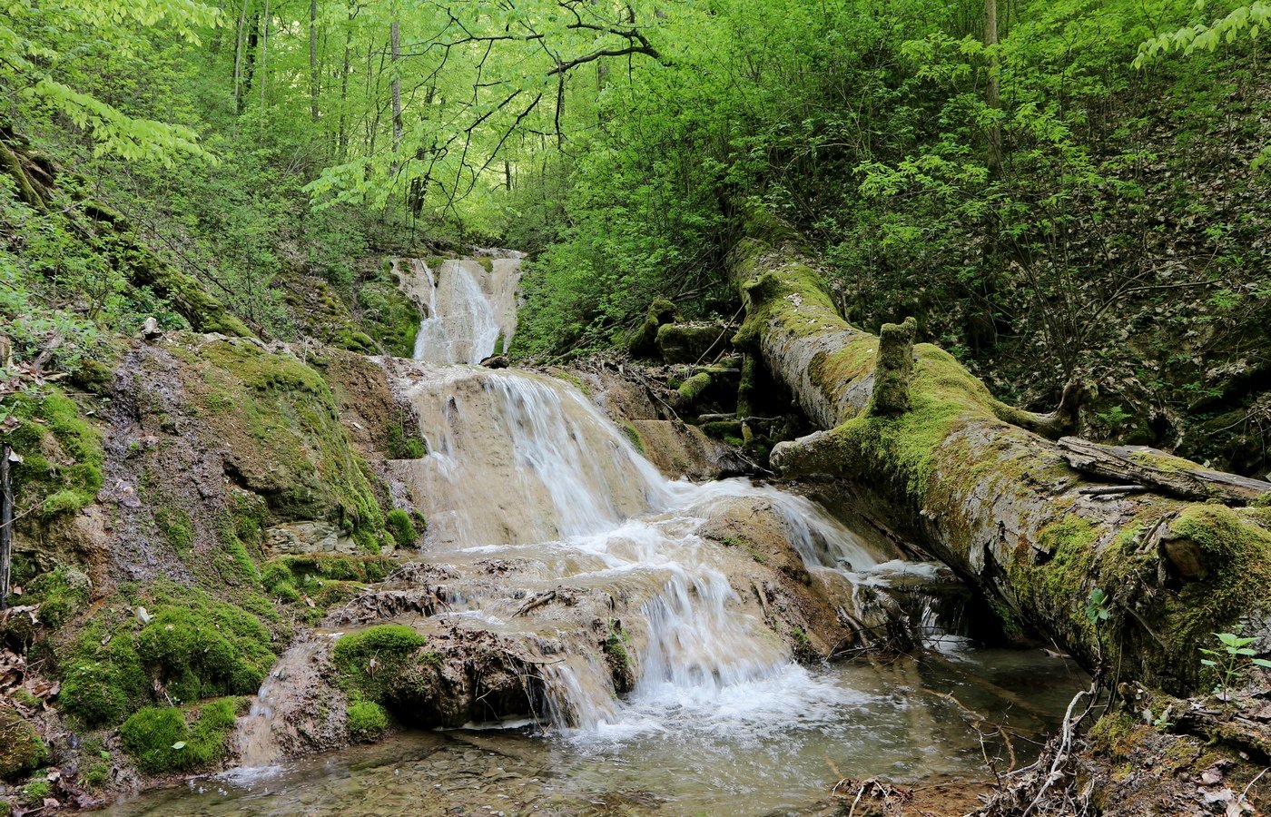 Щель Постакиевская, image of landscape/habitat.