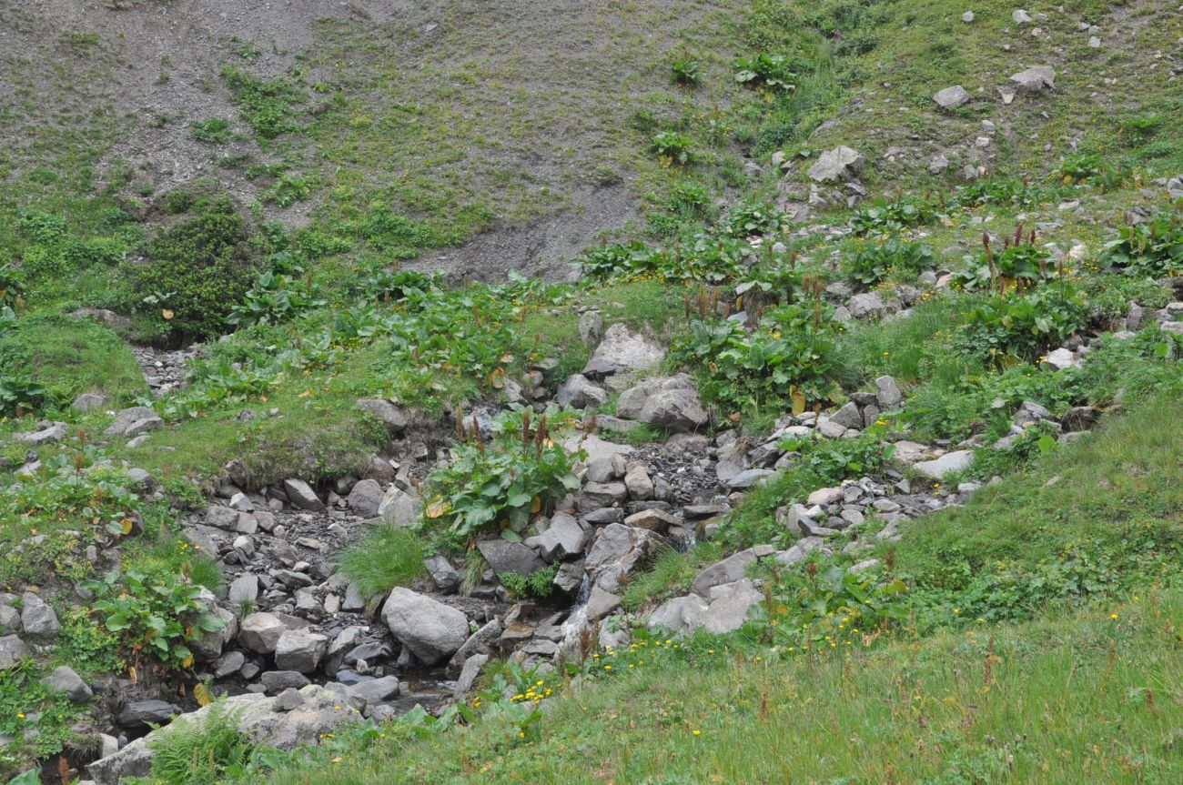 Долина реки Вулелаури, image of landscape/habitat.
