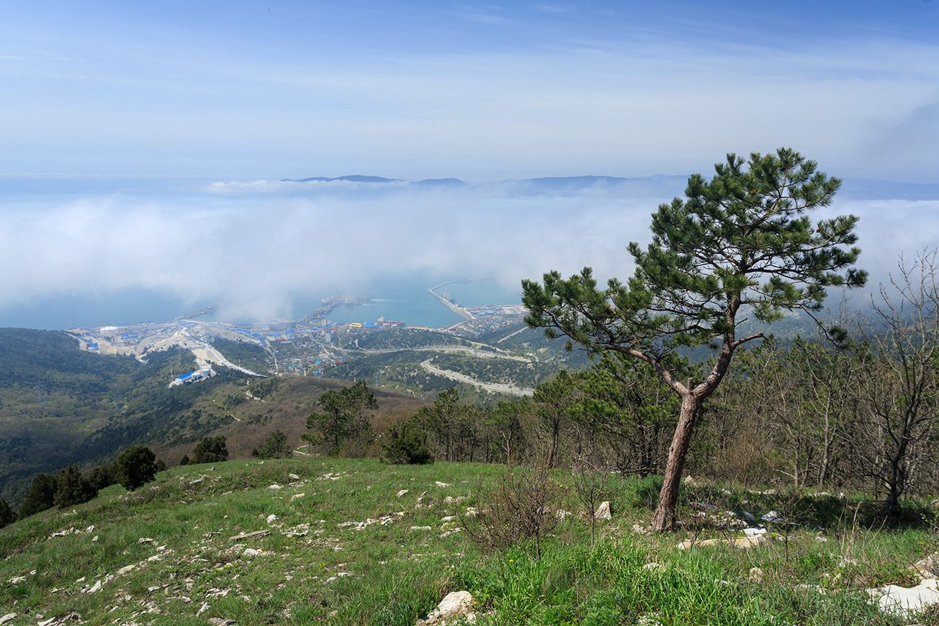 Андреевский перевал, image of landscape/habitat.