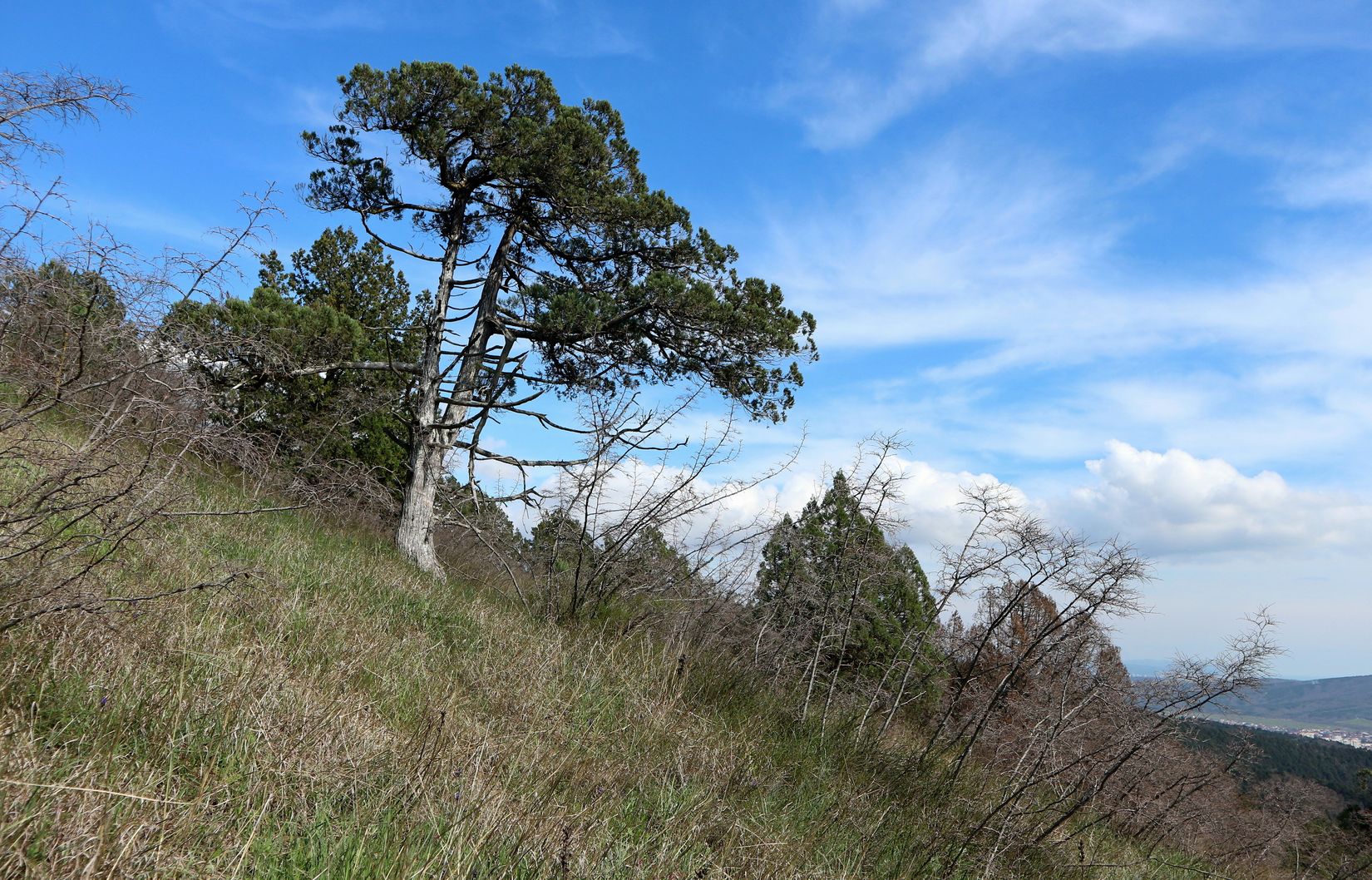 Трубецкая щель, image of landscape/habitat.