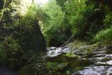 Переправа через Сюк, image of landscape/habitat.