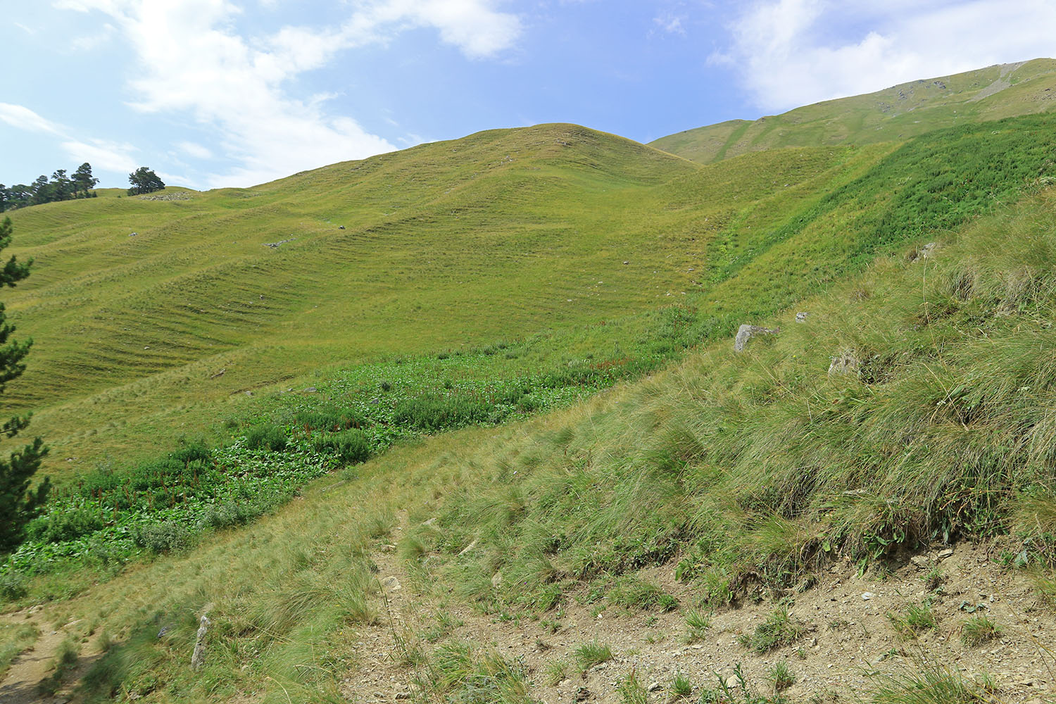 Долина реки Загедан, image of landscape/habitat.