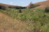 Image of landscape