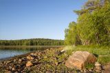 Чкаловский, image of landscape/habitat.