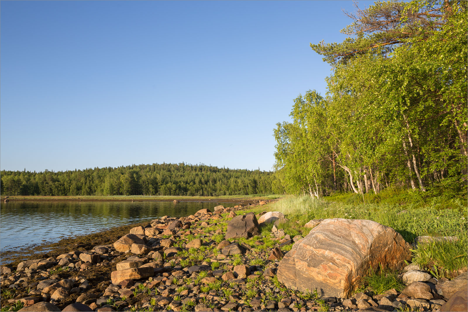 Чкаловский, image of landscape/habitat.