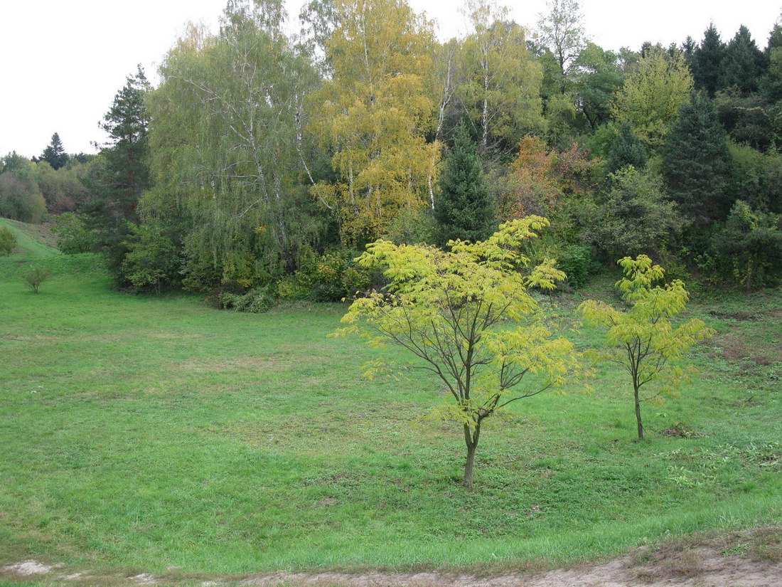 Ботсад им. Гришко, image of landscape/habitat.