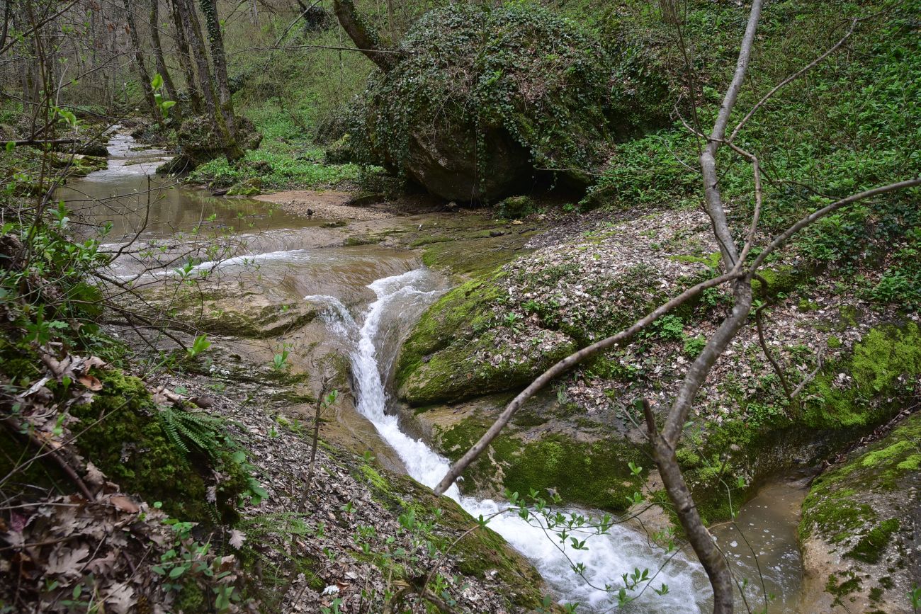 Долина реки Мишоко, image of landscape/habitat.