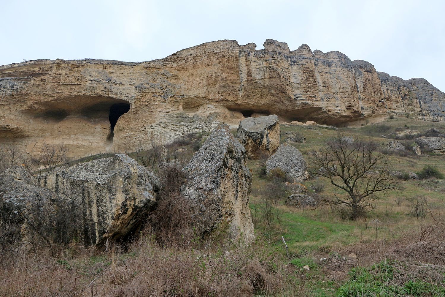 Бор-Кая, image of landscape/habitat.