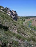 Лысогорка, image of landscape/habitat.