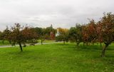 ВДНХ (ВВЦ), image of landscape/habitat.