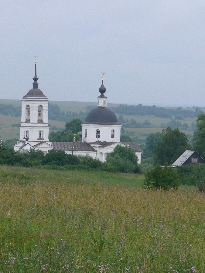 Хвойный, image of landscape/habitat.