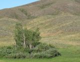 Image of landscape