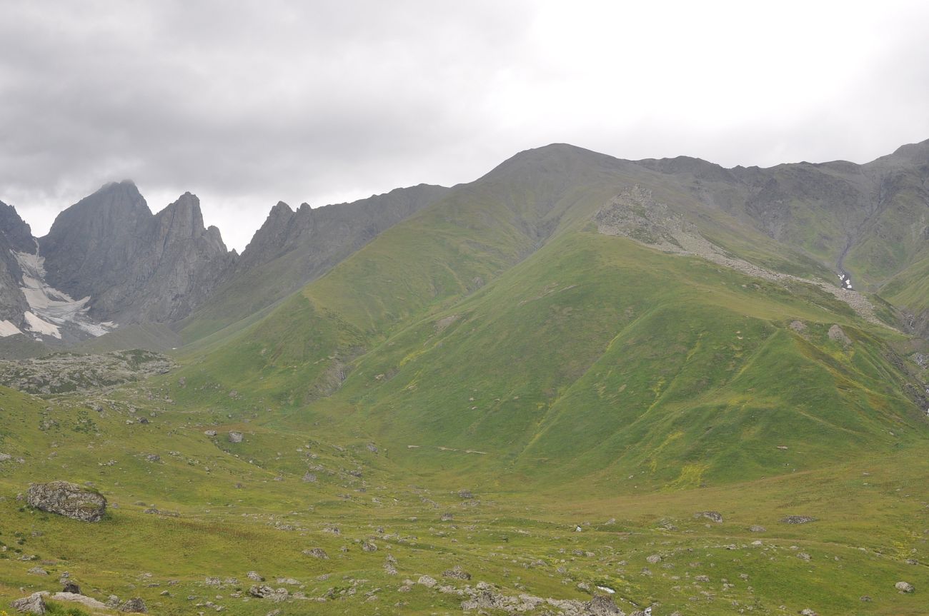 Долина реки Вулелаури, image of landscape/habitat.