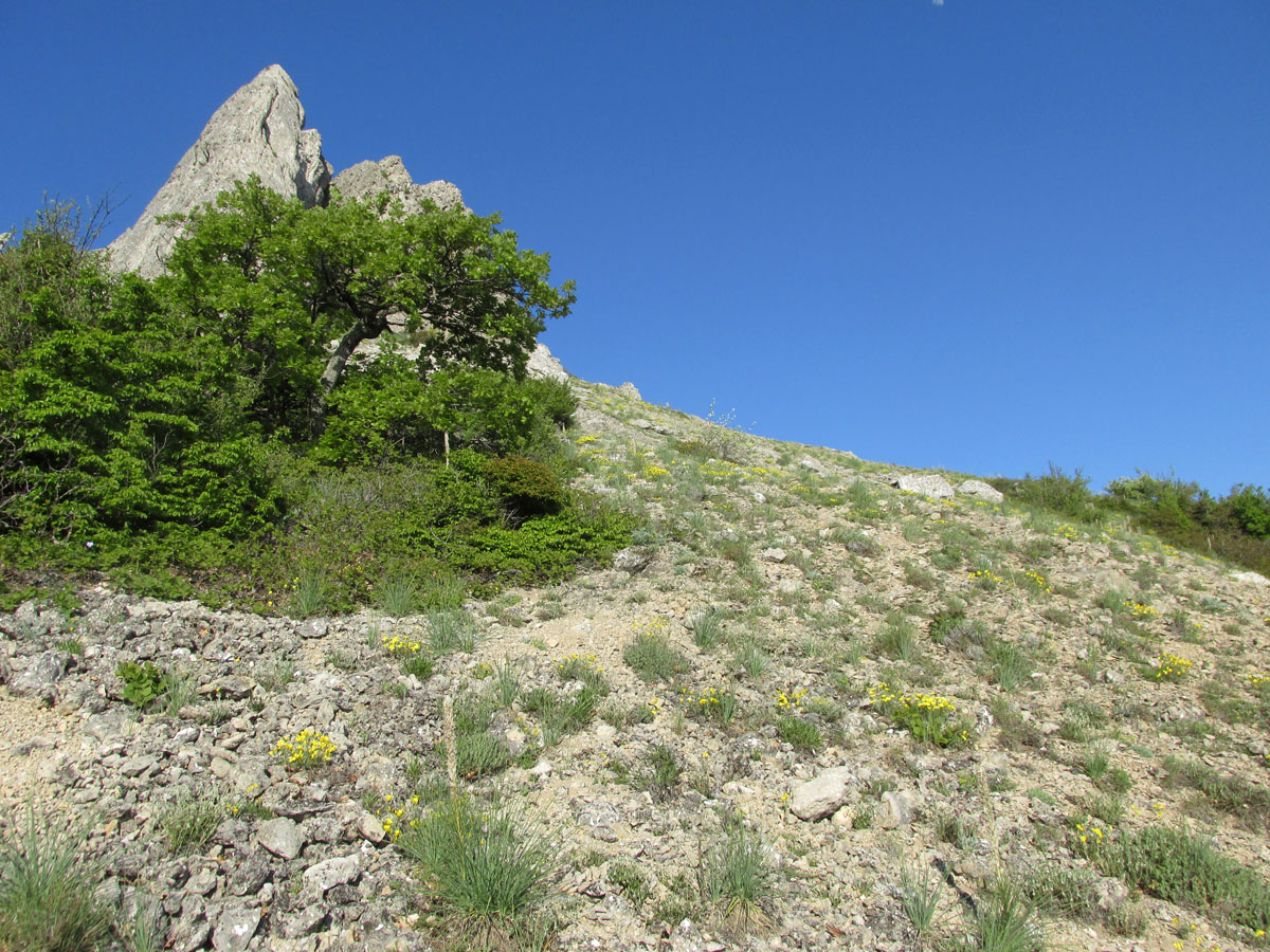 Эчкидаг, image of landscape/habitat.