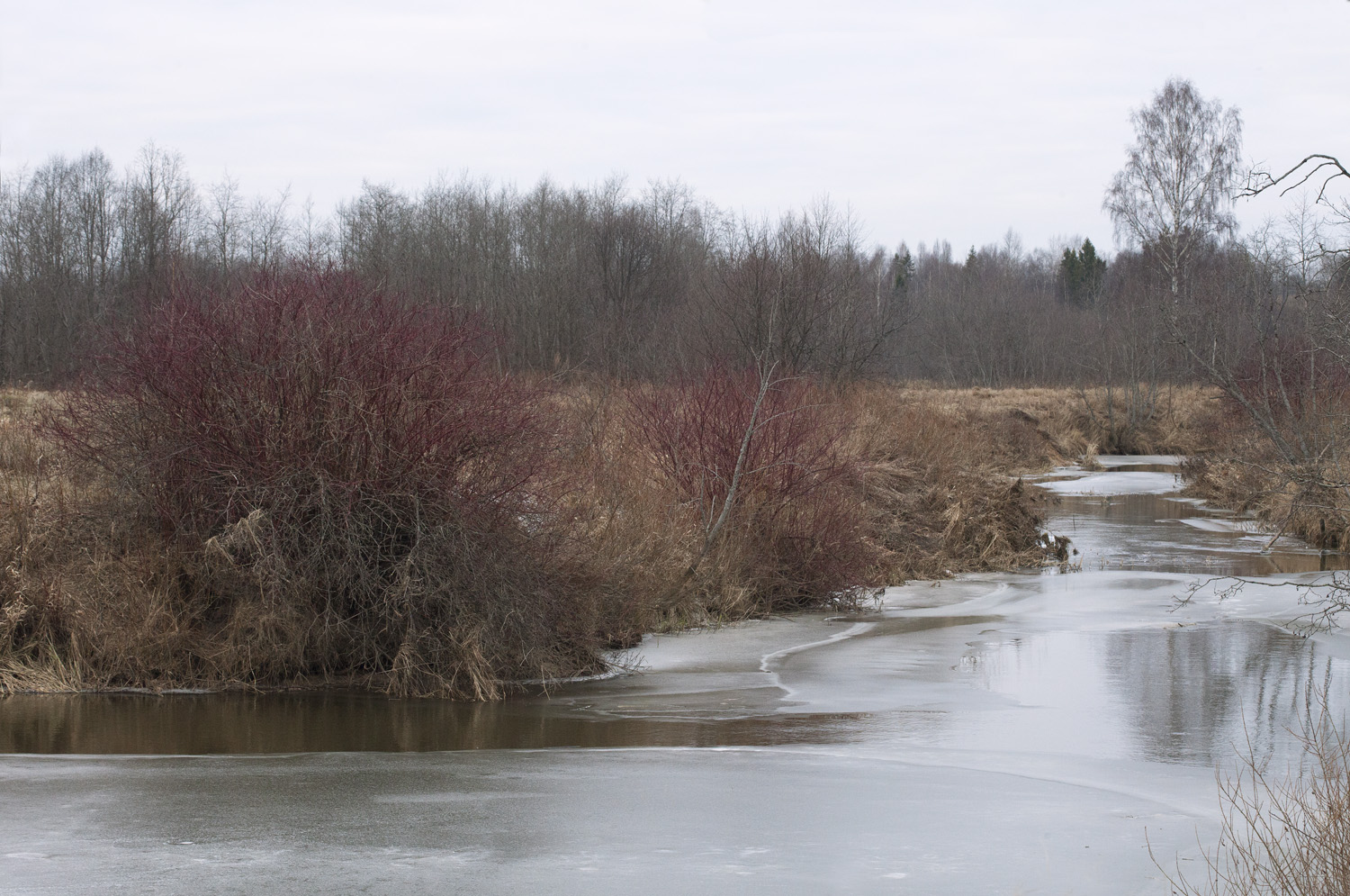 Антипино, image of landscape/habitat.