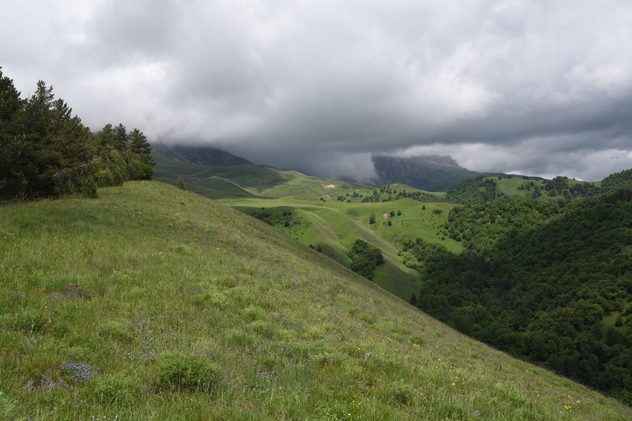 Окрестности урочища Кашети, image of landscape/habitat.