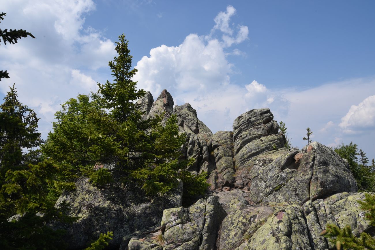Урочище Долина Сказок, image of landscape/habitat.