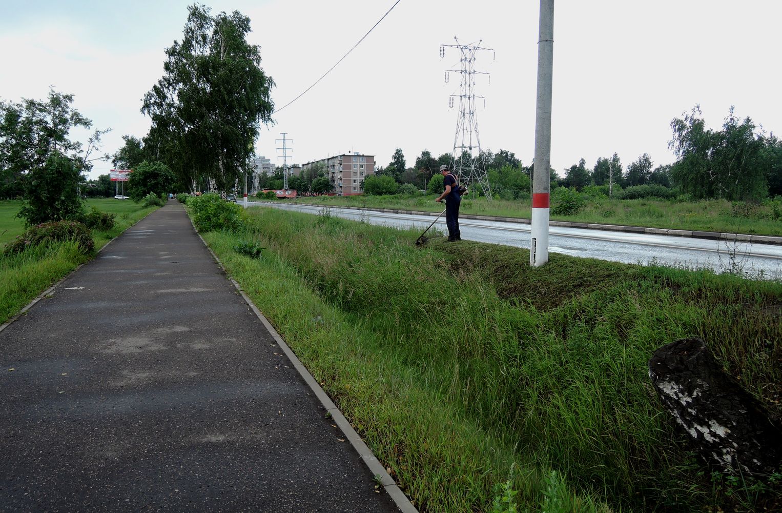 Электрогорск и его окрестности, image of landscape/habitat.