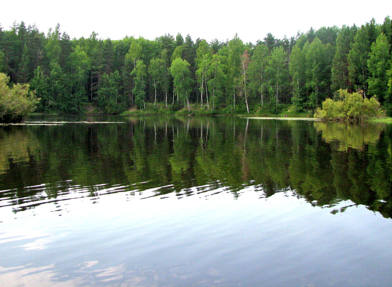 Река Реня, изображение ландшафта.