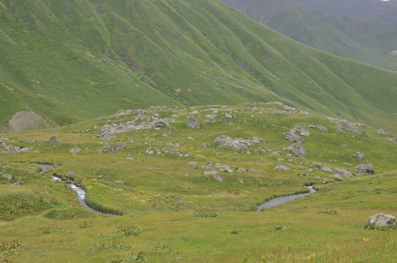 Долина реки Вулелаури, изображение ландшафта.
