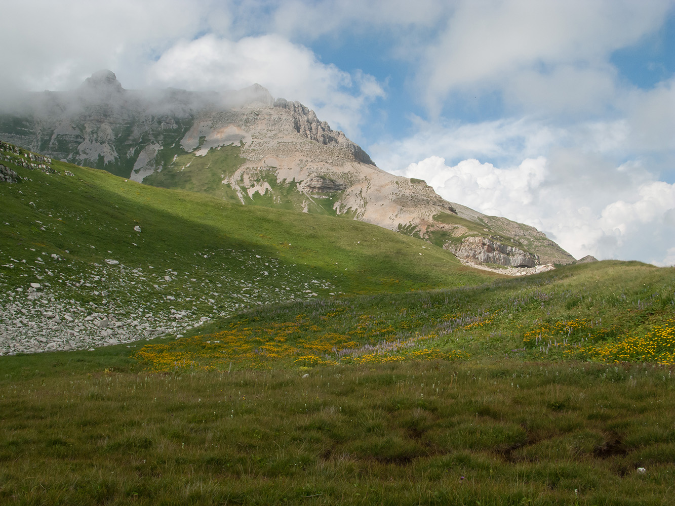 Юго-восточный отрог Оштена, image of landscape/habitat.