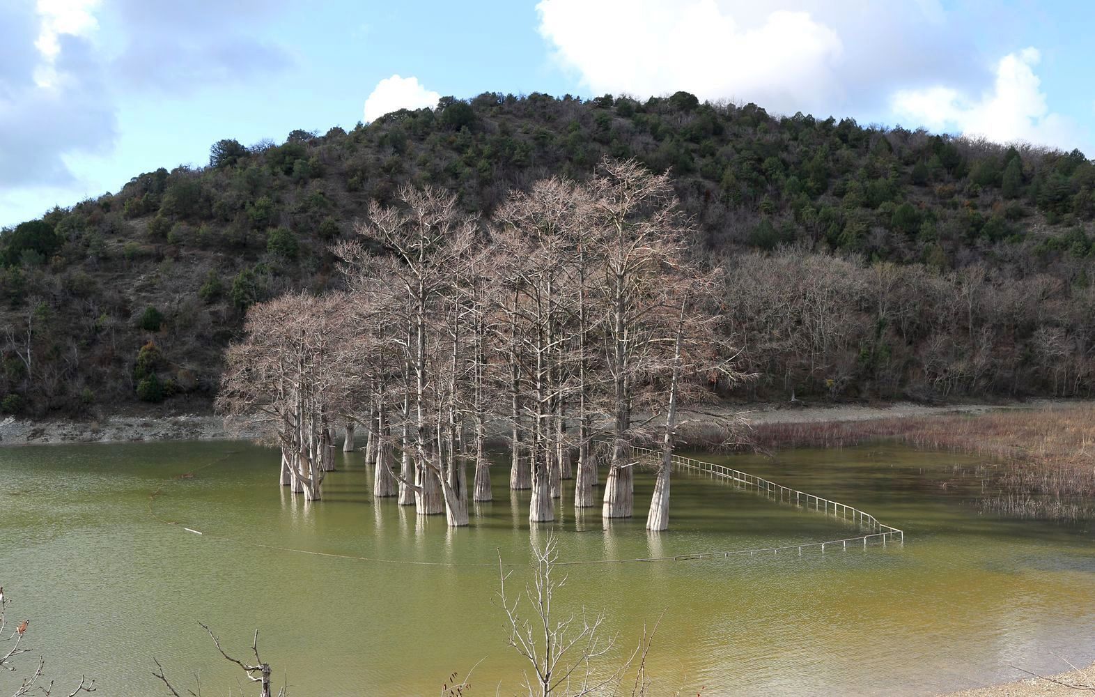 Окрестности озера Сукко, image of landscape/habitat.
