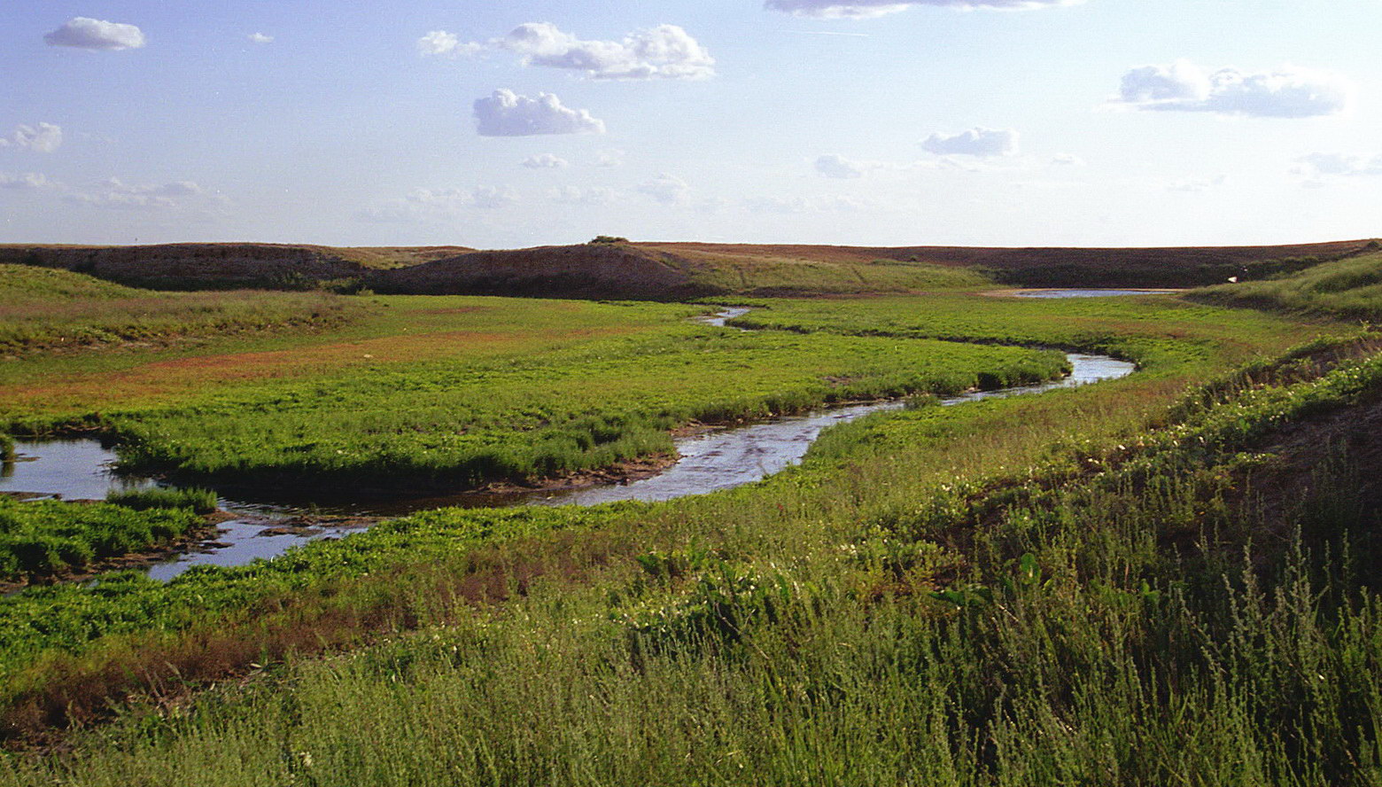 Эльтон, image of landscape/habitat.