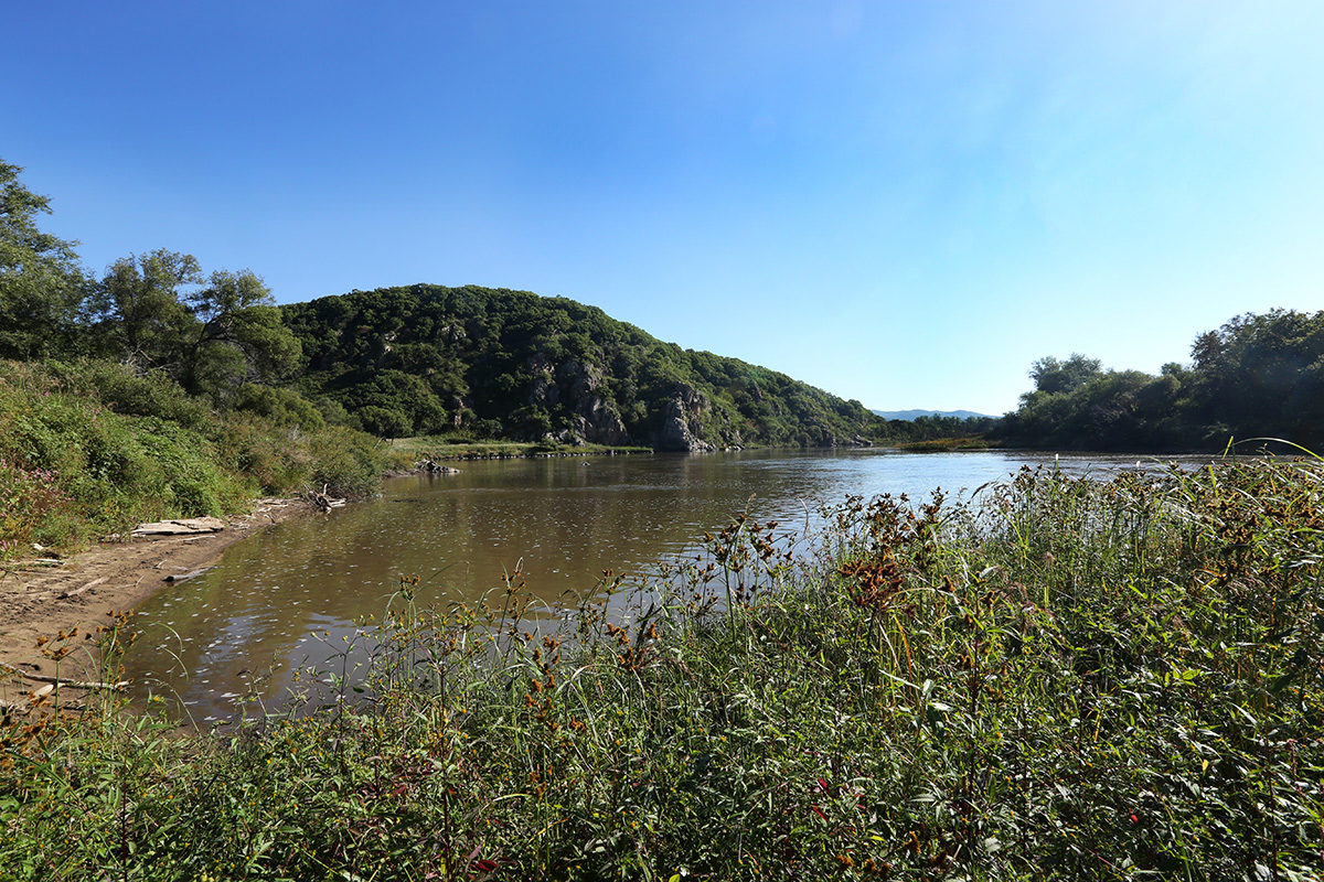 Чернятино, image of landscape/habitat.