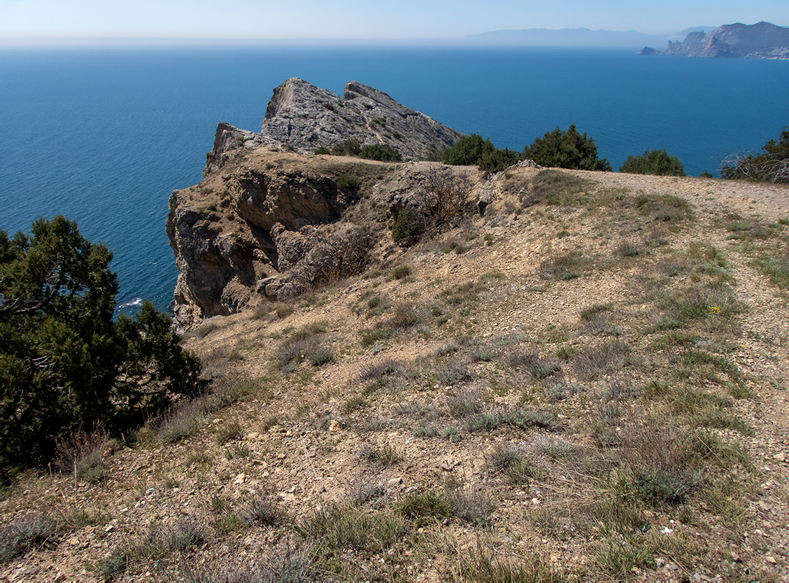 Урочище Алчак-Кая, image of landscape/habitat.
