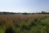 Image of landscape