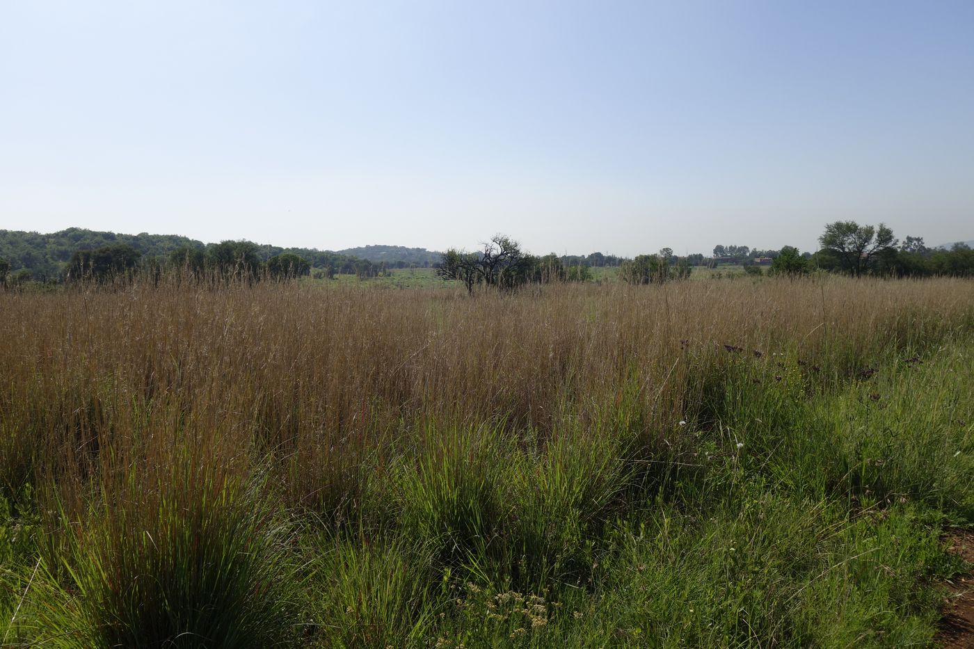 Клиприверсберг, image of landscape/habitat.