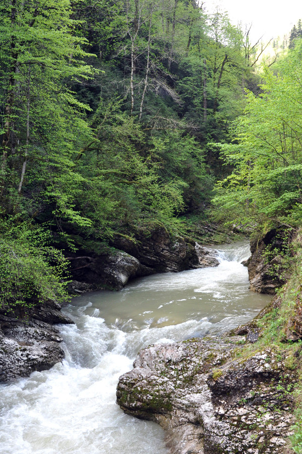 Гуамское ущелье, image of landscape/habitat.