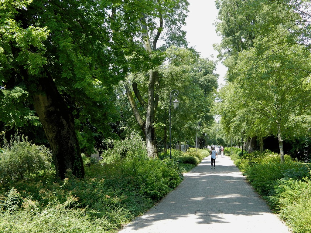 Падуя, image of landscape/habitat.