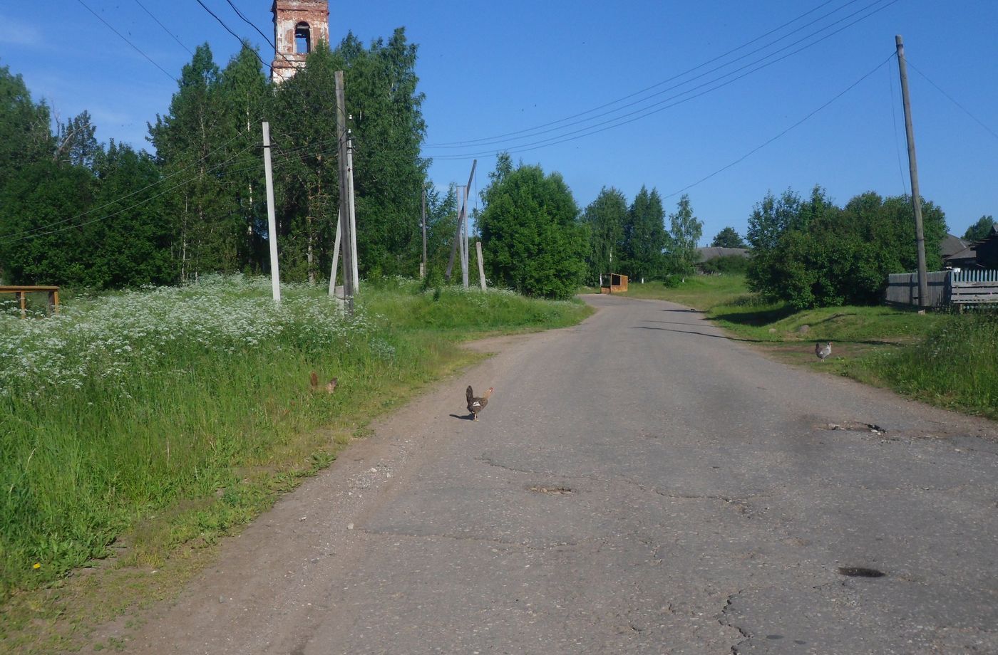 Чистая Дуброва, image of landscape/habitat.