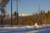 Инзерские Зубчатки, image of landscape/habitat.