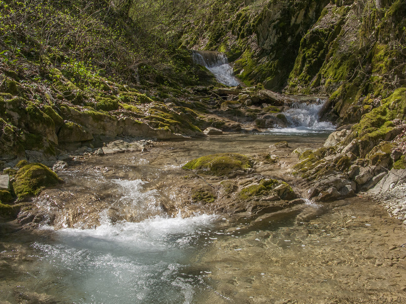 Щель Постакиевская, image of landscape/habitat.