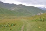 Image of landscape