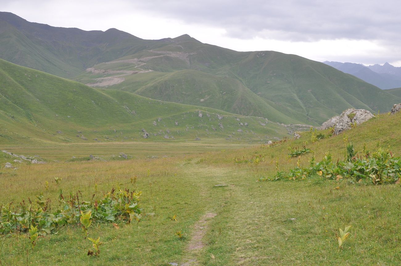 Долина реки Вулелаури, image of landscape/habitat.